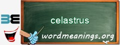 WordMeaning blackboard for celastrus